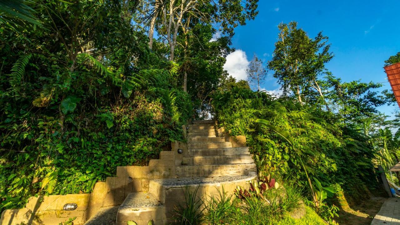 טגלאלאנג Anja Villas Ubud מראה חיצוני תמונה